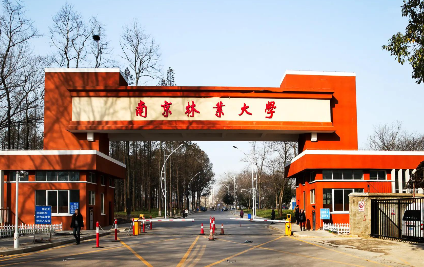 第五轮学科评估：南京林业大学，北京林业大学，东北林业大学，谁的实力更强？