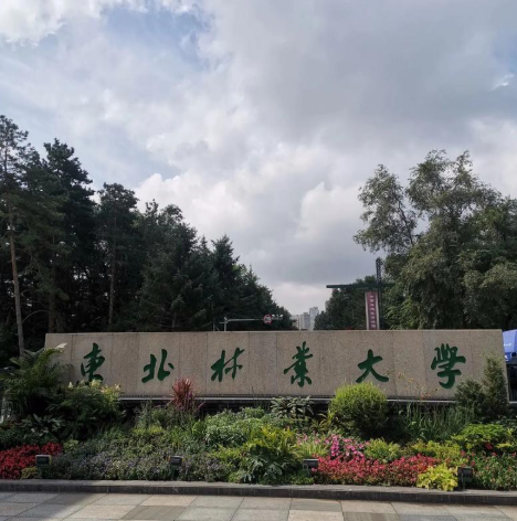 第五轮学科评估：南京林业大学，北京林业大学，东北林业大学，谁的实力更强？